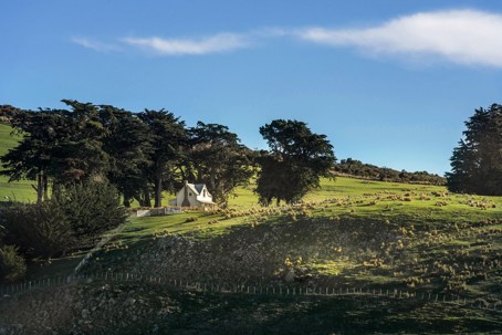 Annandale Shepherd's Cottage (2013)