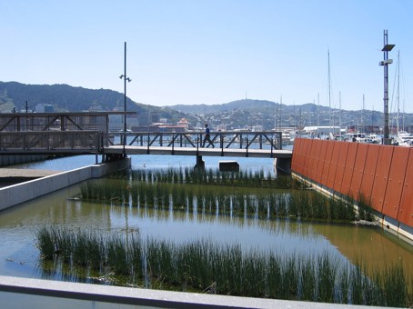 Waitangi Park, Wellington