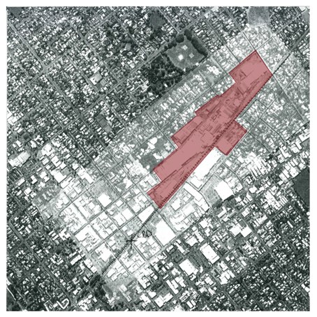 Image by Ella McKay.