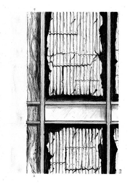 Image by Guy van der Wilt.