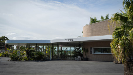 Te Puna at Auckland Zoo, 2020
