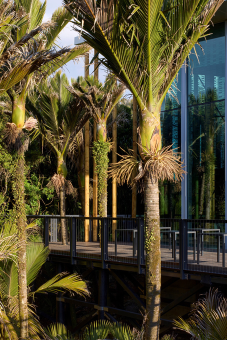 Punangairi Visitor Centre