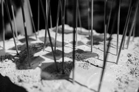 Image by Ella Jones.