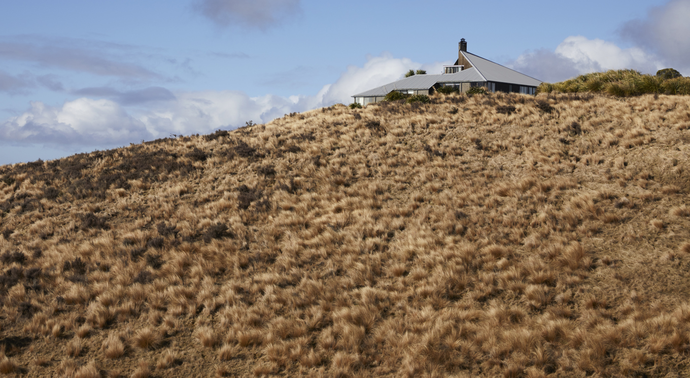 Dst Ngamatea0718 1715