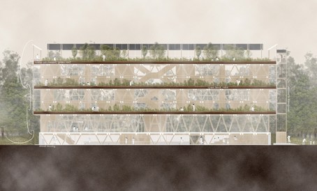 Image by Matangireia Yates-Francis.