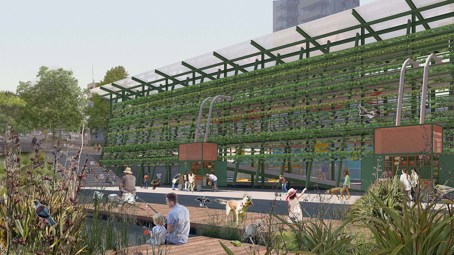 Urban wetland planting