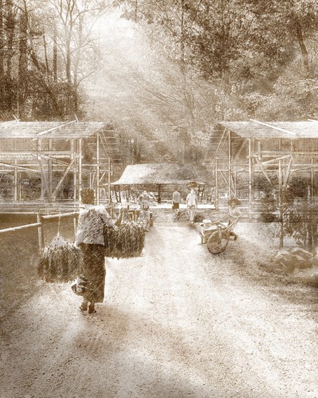 Image by Myint San Aung.