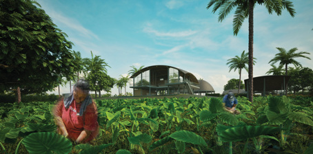 Plantation Perspective