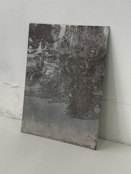 Image by Lise Jansen-Luke.