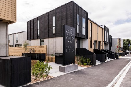 Paetutu, Te Whanga-nui-a-Tara