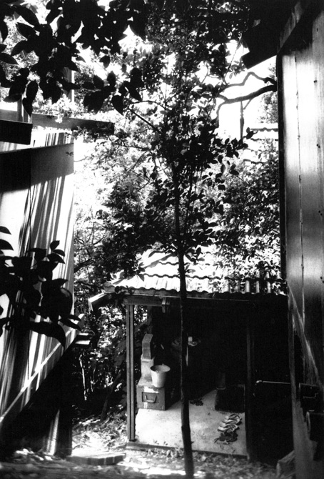 A detail from 'The Human House'
