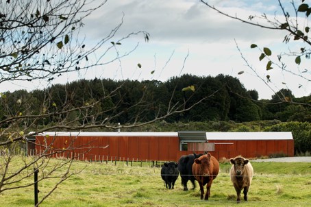 Kaitawa Road House, Otaki