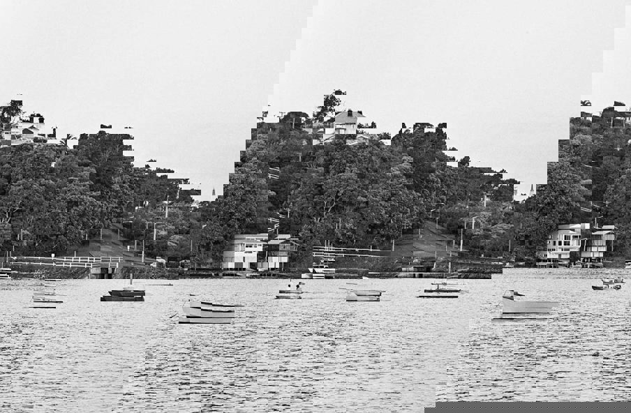 Open category Winner