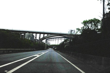 Image by Tom Collins