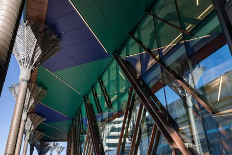 Te Matapihi ki te Ao Nui