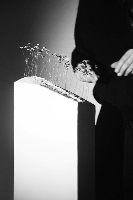 Image by Ella Jones.