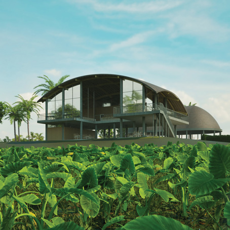 Edit Plantation Perspective