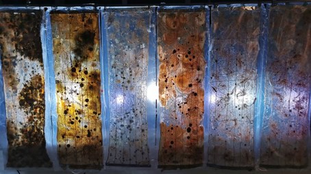 An image from 'CyberBio Architecture' by Jacky Ziyi Zheng