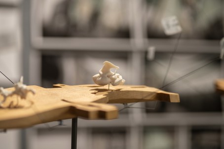 A model by Chris Gandhi