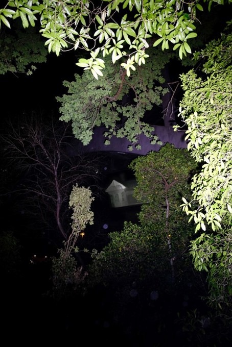 Image by Tom Collins