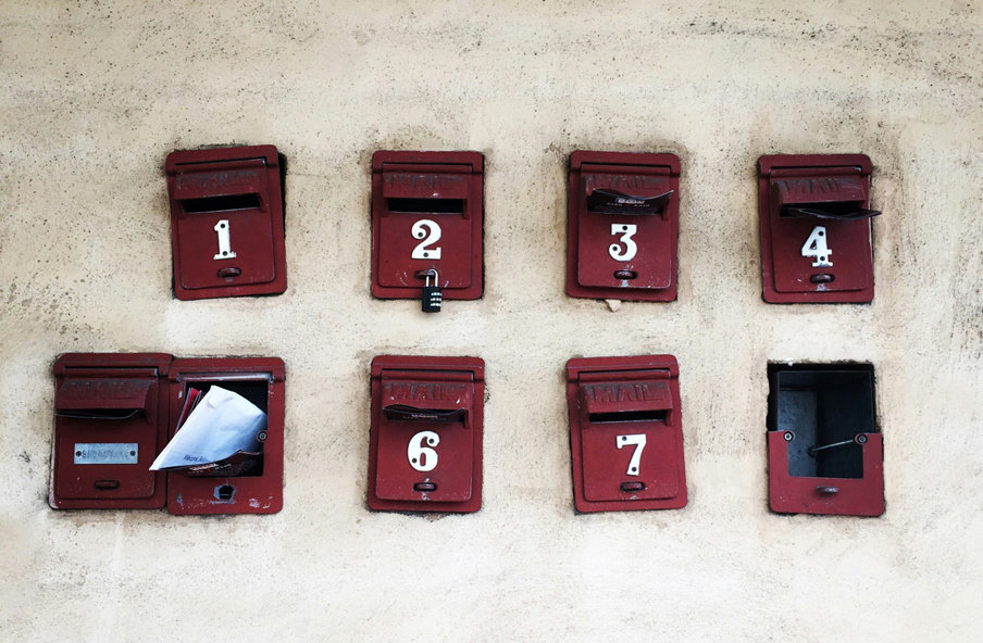 Open category Winner